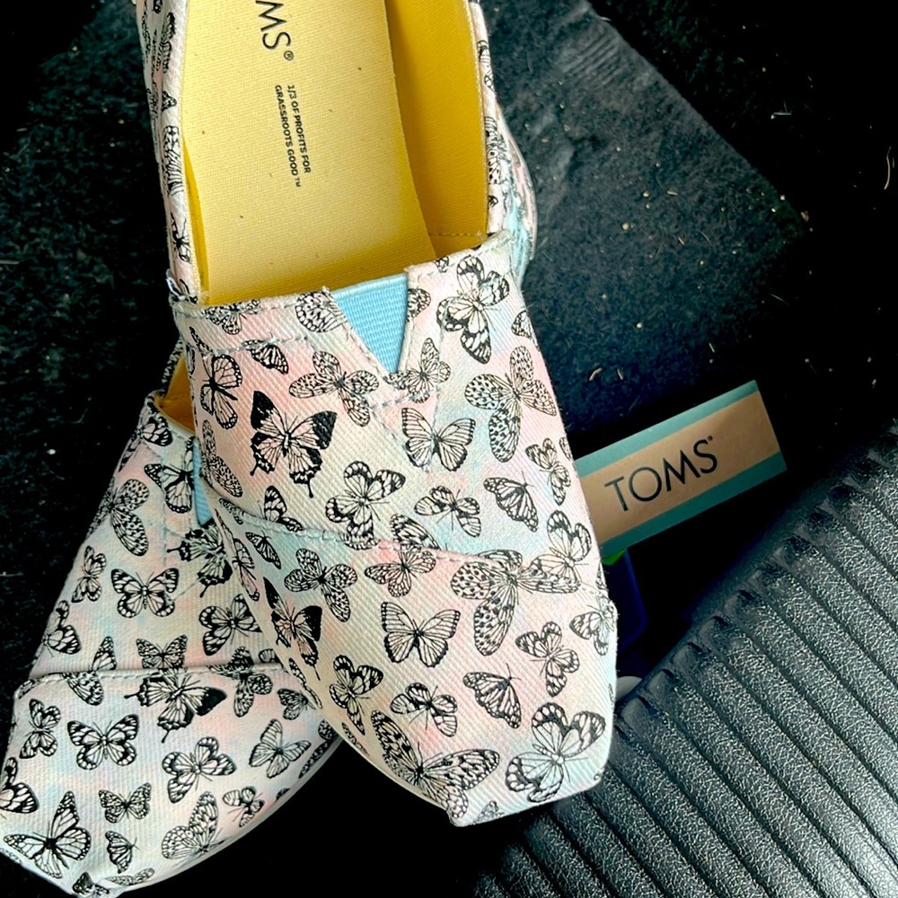 Toms butterfly